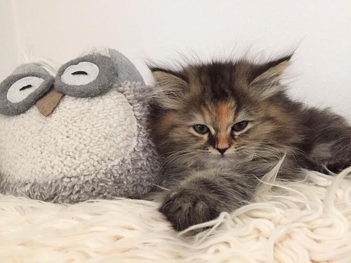 Mia