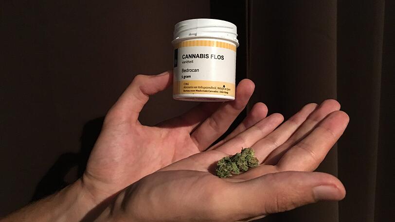 So schauen medizinische Cannabisblüten aus.
