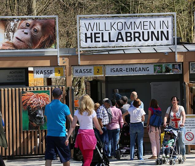 Der Andrang auf Hellabrunn ist groß. Kein Wunder bei diesem Traumwetter.