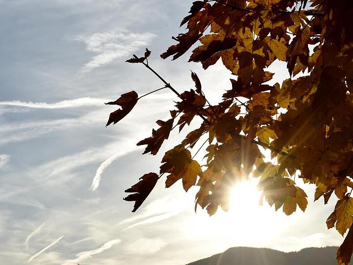 Die Herbstsonne scheint zwischen gefärbten Laub hervor. Foto: Angelika Warmuth/dpa/Archiv