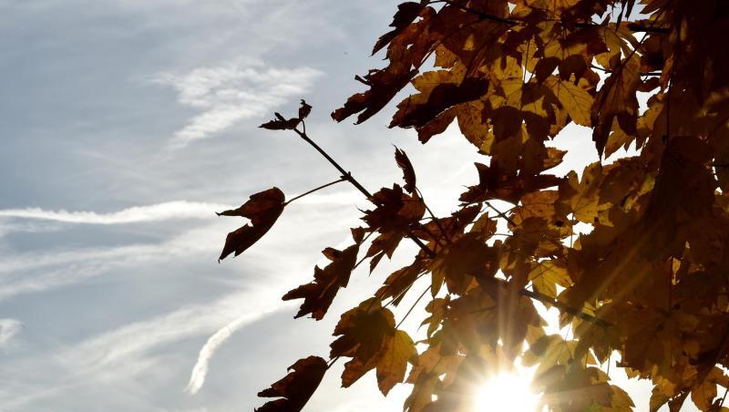 Die Herbstsonne scheint zwischen gefärbten Laub hervor. Foto: Angelika Warmuth/dpa/Archiv Die Herbstsonne scheint zwischen gefärbten Laub hervor. Foto: Angelika Warmuth/dpa/Archiv