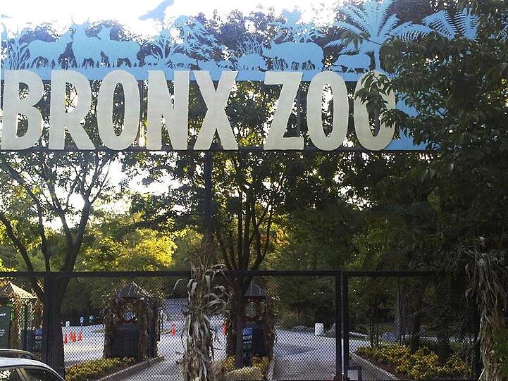 der Eingang zum Bronx Zoo in New York, wo sich die Übertragung des Virus von Mensch auf Tier ereignete.