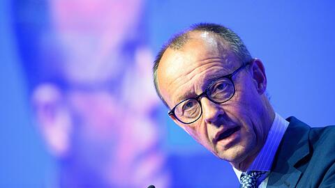 "Die Bundesregierung tut nicht das, was der Bundestag beschlossen hat: nämlich schwere Waffen zu liefern": Friedrich Merz.