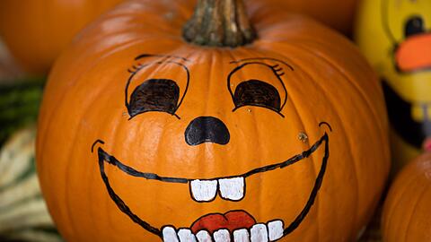 Der Handelsverband Bayern erwartet in diesem Jahr Umsätze von rund 77 Millionen Euro im Zusammenhang mit Halloween.