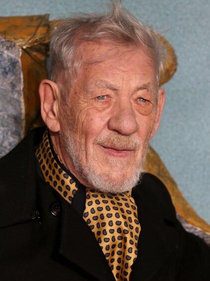 Ian McKellen schw&auml;rmt von seinem Schauspielkollegen Johnny Depp.