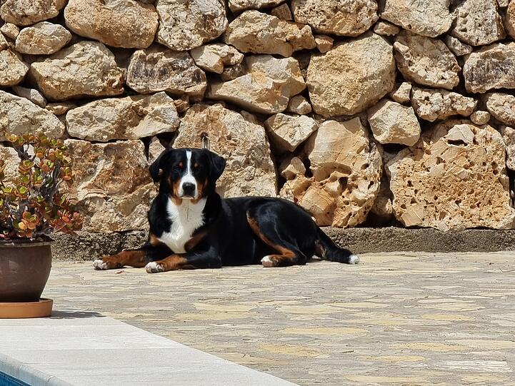 Oskar