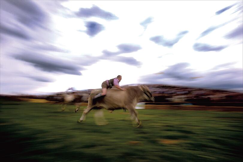 Ochsenrennen in Münsing
Wie alle großen Sportereignisse findet auch das Ochsenrennen im oberbayerischen Münsing nur alle vier Jahre statt. Jockeys treten ohne jegliche Hilfsmittel auf ihren Ochsen gegeneinander im Sprint an. Sieger wurde am 26. August 2012 übrigens Martin Breiter mit seinem Ochsen Kara. 10.000 Zuschauer jubelten, während der für Getty Images tätige Sportjournalist Alexander Hassenstein die schönsten Momente mit seiner Kamera festhielt. Das Preisgeld in der Kategorie Serie beträgt 1500 Euro.