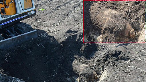 September 2012: Eine Fliegerbomne hält Ismaning in Atem. September 2012: Eine Fliegerbomne hält Ismaning in Atem.