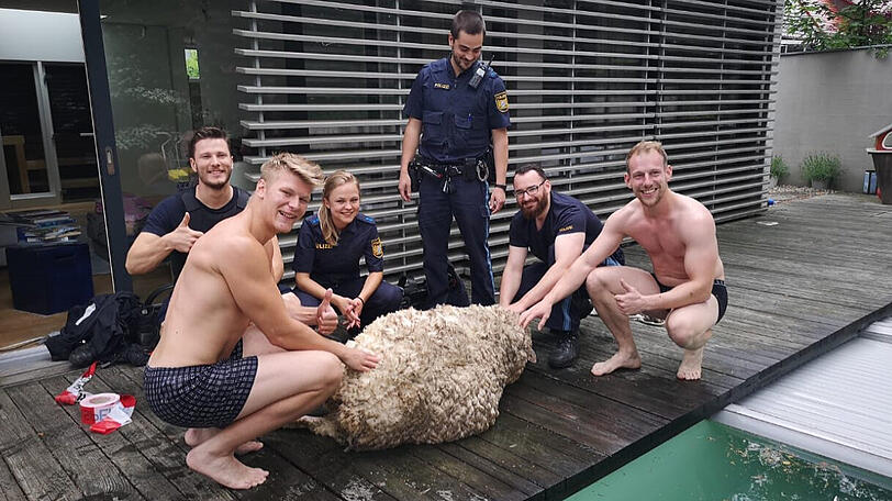 Daumen nach oben für diese tierische Rettungsaktion der Polizei Nürnberg.