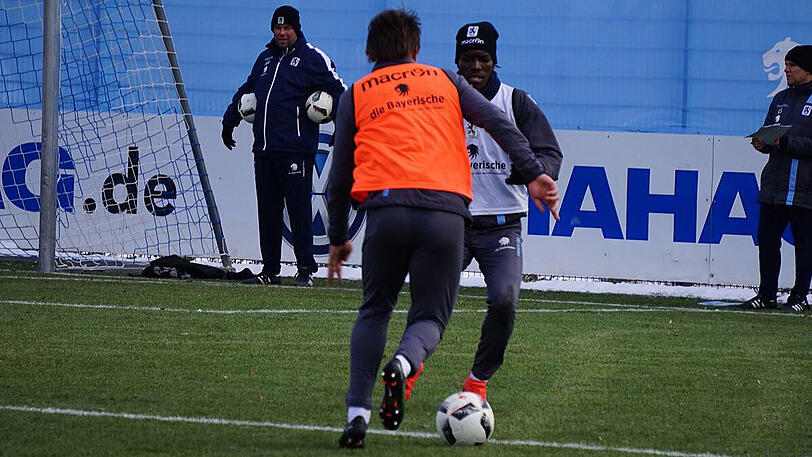 Direkt mit im Training dabei: Die Neulöwen