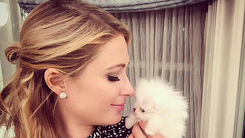 Auf den Hund gekommen: Paris Hilton mit ihrem neuen Zwergspitz Auf den Hund gekommen: Paris Hilton mit ihrem neuen Zwergspitz