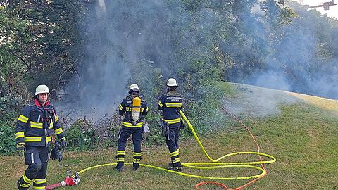 Etwa 70 Quadratmeter an Hecke und Vegetation brannten ab, zur Brandursache ermittelt die Polizei.