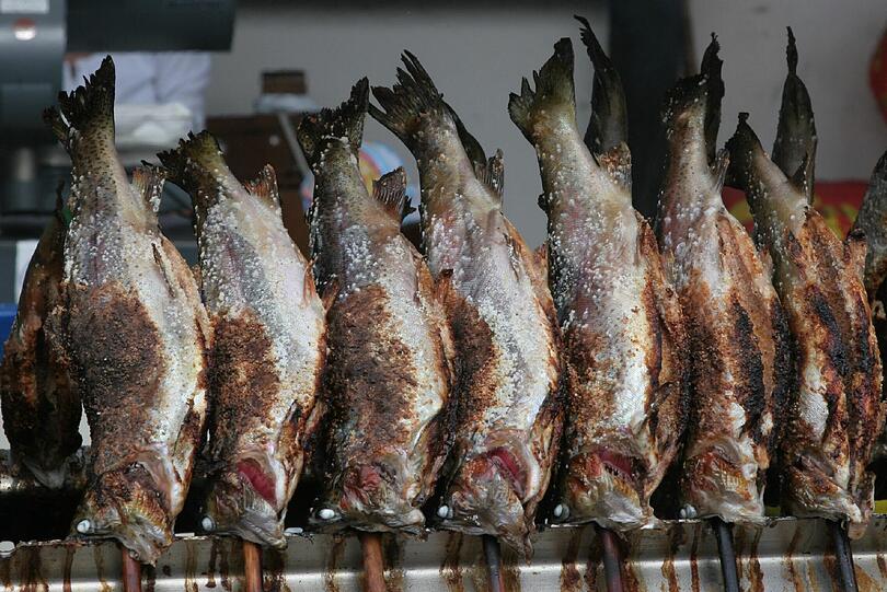 Die Familie Stadtmüller sorgt für Fischgelüste.