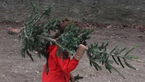 Weg mit dem Christbaum! Weg mit dem Christbaum!