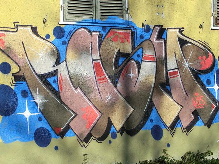 Graffiti-Künstler haben im Harthof Abrisshäuser gekonnt verschönert.