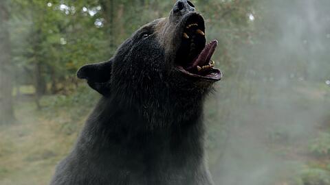 Wild geworden und auf Koks: Szene aus dem Film "Cocaine Bear".