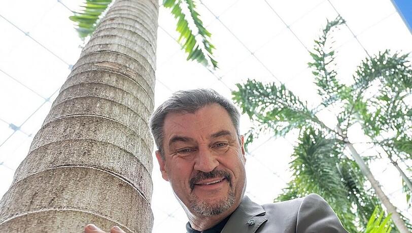 Markus Söder mit einer Palme in der Therme Erding.