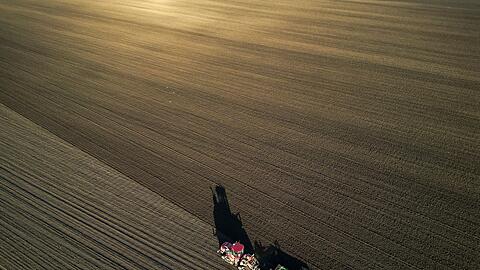 Die Bauern befürchten schwierige Geschäftsbedingungen 2026. (Archivbild)