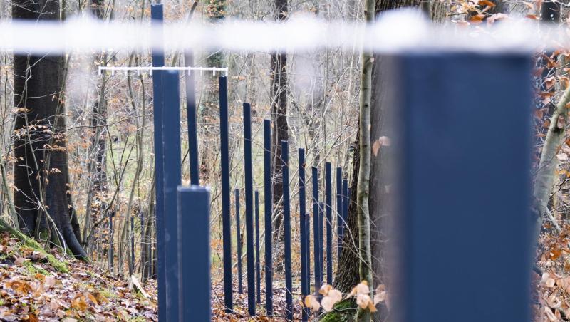 In wenigen Tagen dürfte der umstrittene Wildschweinzaun an der deutsch-dänischen Grenze fertig sein. In wenigen Tagen dürfte der umstrittene Wildschweinzaun an der deutsch-dänischen Grenze fertig sein.