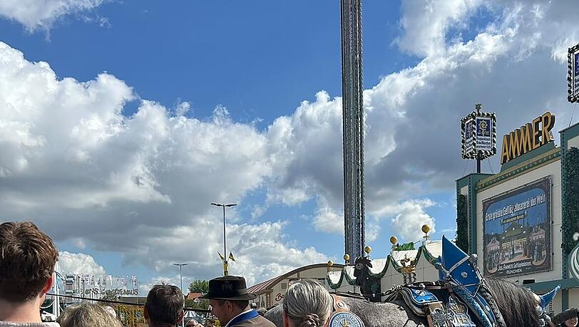 Tierisches Vergnügen: Die festlich geschmückten Pferde auf der Wiesn finden immer wieder viele Freunde. Tierisches Vergnügen: Die festlich geschmückten Pferde auf der Wiesn finden immer wieder viele Freunde.