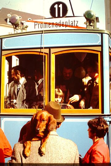 November 1976: Eine historische Tram, die zum 100. Jubiläum durch München fuhr, an der Ecke Maximilianstraße. Dem Dackel ist sie wurscht