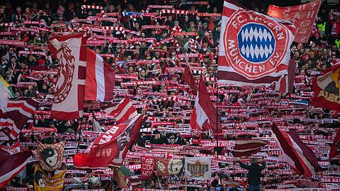 Erstmals seit 2019 starten die Vereine in eine Spielzeit ohne Corona-Beschränkungen.