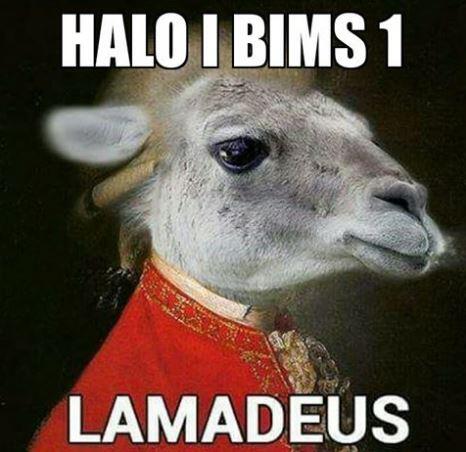 Lamadeus