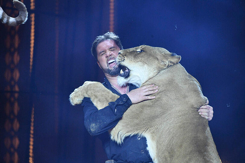 Martin Lacey tanzt mit einem Löwen
