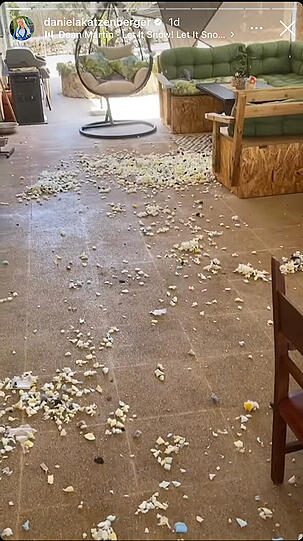 Der Inhalt des Sitzkissens ist über die gesamte Terrasse von Iris Klein verteilt.