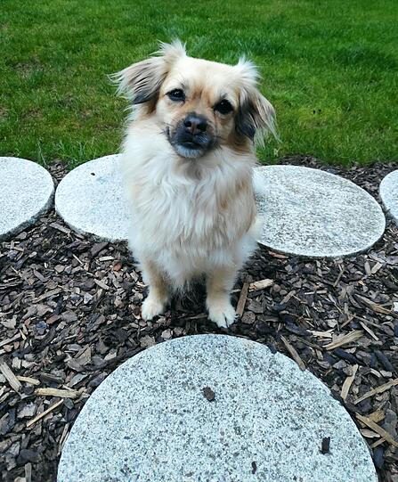 Roxy