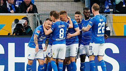 Hoffenheim kam zu einem wichtigen Heimsieg gegen Schalke.