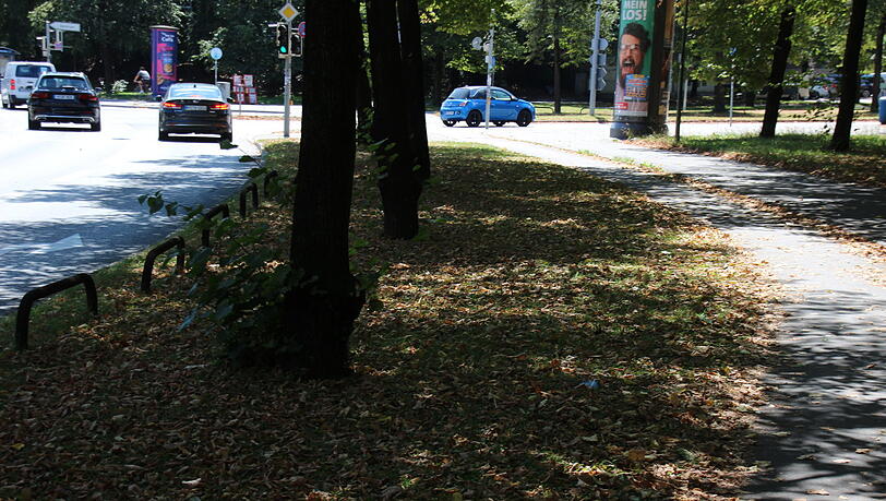 Mit Laub bedeckte Wege und Grünstreifen wie im Herbst (Hansastraße).