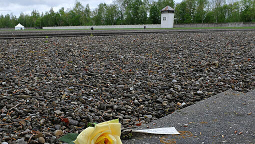 Eine gelbe Rose liegt am 2. Mai 2010 bei der Gedenkfeier zum 65. Jahrestag der Befreiung des KZ Dachau am Rande der ehemaligen Lagerstraße. Eine gelbe Rose liegt am 2. Mai 2010 bei der Gedenkfeier zum 65. Jahrestag der Befreiung des KZ Dachau am Rande der ehemaligen Lagerstraße.