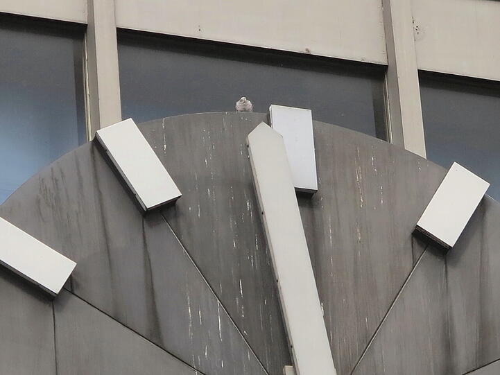 Die große Uhr am Hauptbahnhof ist offenbar stehen geblieben.