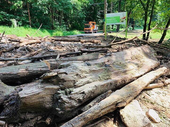Eine Straße im sächsischen Kirnitzschtal ist durch eine Schlammlawine mit Geröll bedeckt und für den Verkehr unpassierbar.
