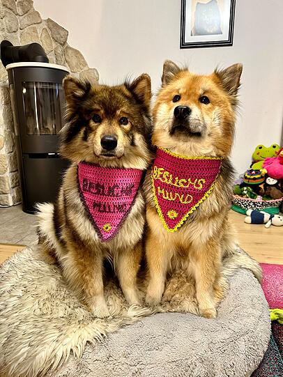 Jill Sun und Jalika sind meine Superhunde, da sie alte Menschen glücklich machen.