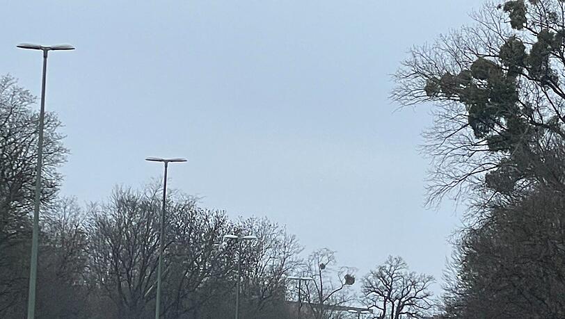 Auf der Bruderm&uuml;hlbr&uuml;cke staute sich der Verkehr.