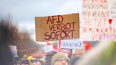 Demonstranten protestieren gegen Rechts vor dem Brandenburger Tor in Berlin. Einige fordern auch ein Verbot der rechtspopulistischen AfD.