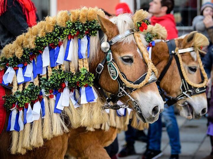 Geschmückte Pferde beim traditionellen Georgiritt. Foto: Matthias Balk/Archivbild
