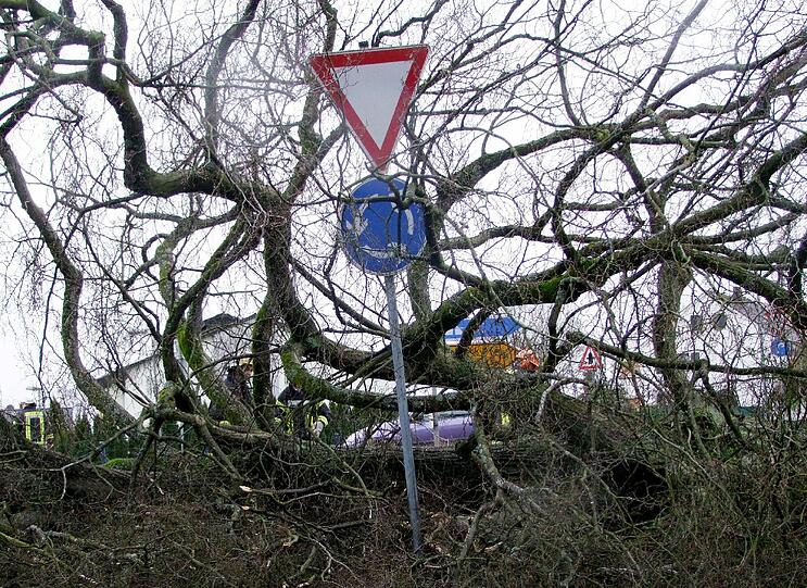 Begrabene Autos und entwurzelte Bäume: Die Schäden von Niklas im Saarland.