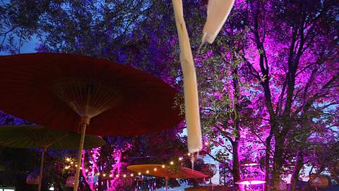 Menschen stehen bei dem Tollwood Festival in München an einer beleuchteten Bar unter freiem Himmel. Foto: Stephan Jansen/dpa/Archivbild
