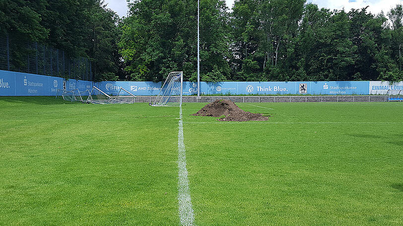 Der erste Bagger ist angerollt - so sehen die Umbauarbeiten beim TSV 1860 an der Grünwalder Straße aus.