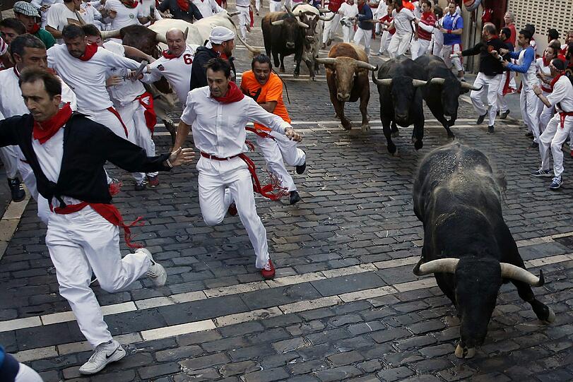 Bilder vom Stiertreiben in Pamplona!