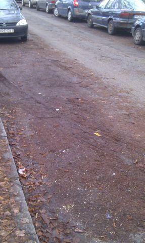 Straßen- und Grünstreifenpflege: Fehlanzeige. Die Bilder zum Durchklicken.