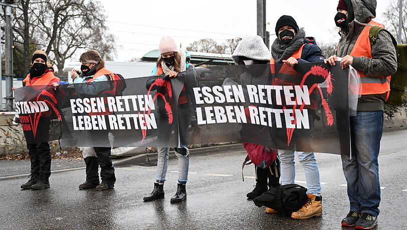 Wie hier in Stuttgart demonstrierten am Freitagnachmittag Aktivisten der Initiative "Essen Retten - Leben Retten" am Münchner Isartor. Zwei der Aktivisten klebten sich dabei auf der Frauenstraße fest.