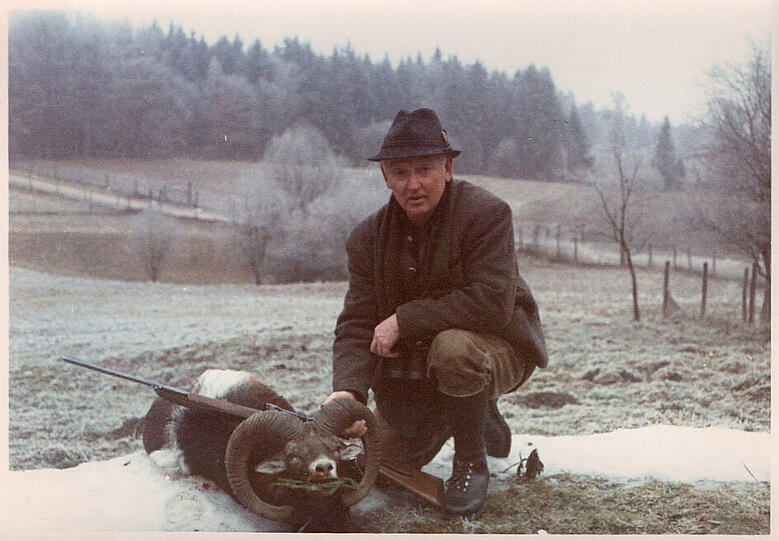 Ein im Jahr 1956 geschossenes Mufflon.