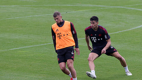 Haben kaum eine Perspektive beim FC Bayern: Michael Cuisance (li.) und Marc Roca.
