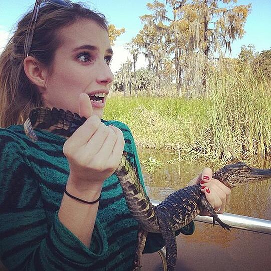 Emma Roberts hat sich einen Alligator geangelt