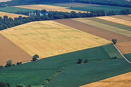 Ein Sonnensymbol im Kornfeld in Oberschleißheim? &bdquo;Da ist nichts Mutwilliges, der Kreis ist mit großer Sorgfalt gezogen&ldquo; meint Landwirt Josef Zech.