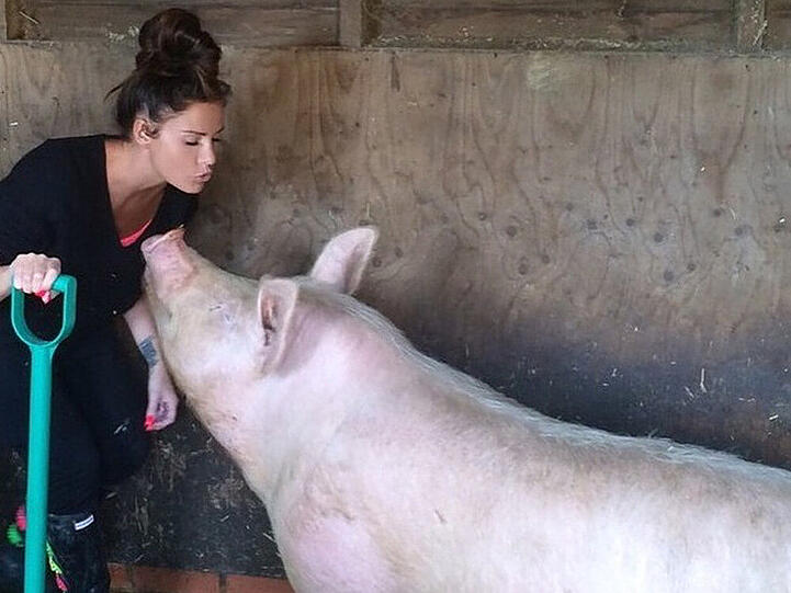 Katie Price hat schon viel Erfahrung mit Schweinen
